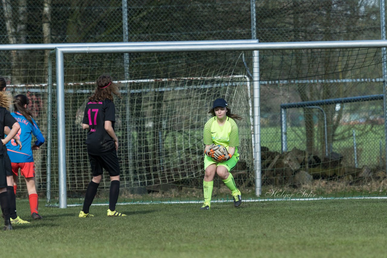 Bild 287 - C-Juniorinnen SV Steinhorst/Labenz - TSV Friedrichsberg-Busdorf : Ergebnis: 5:0